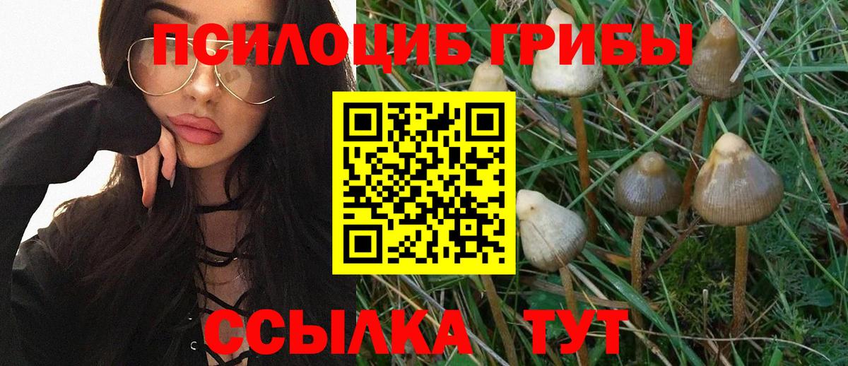 Тавда  Псилоцибиновые грибы мицелий  Вход с VPN 